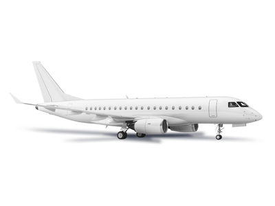 Embraer Lineage 1000 - фото