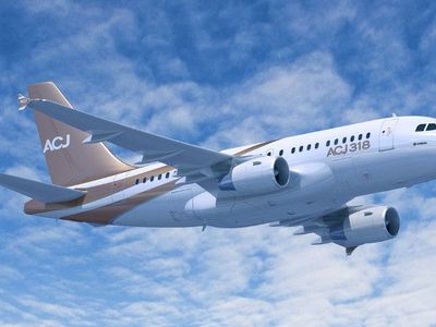 Airbus 318 Elite - фото