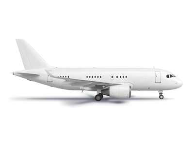Airbus 318 Elite - фото