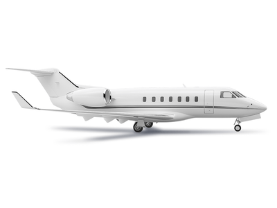 Challenger 604 - фото