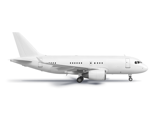 Airbus 318 Elite